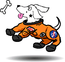 Star Dog Icon