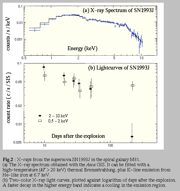 ASCA Spectrum and Light Curve of SN 1993J