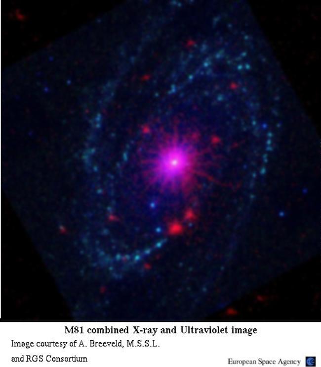 X-ray and UV image of M81