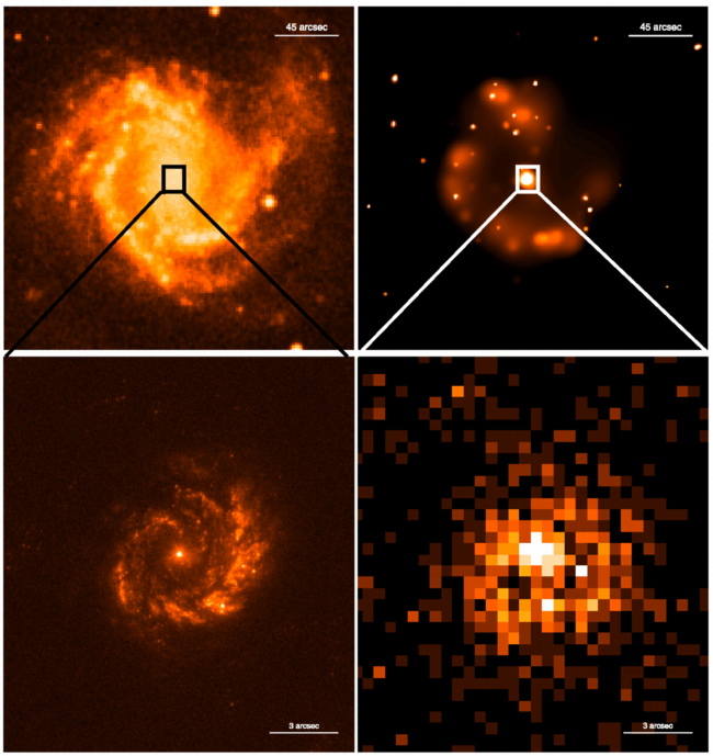 NGC 4303 optical and X-ray image