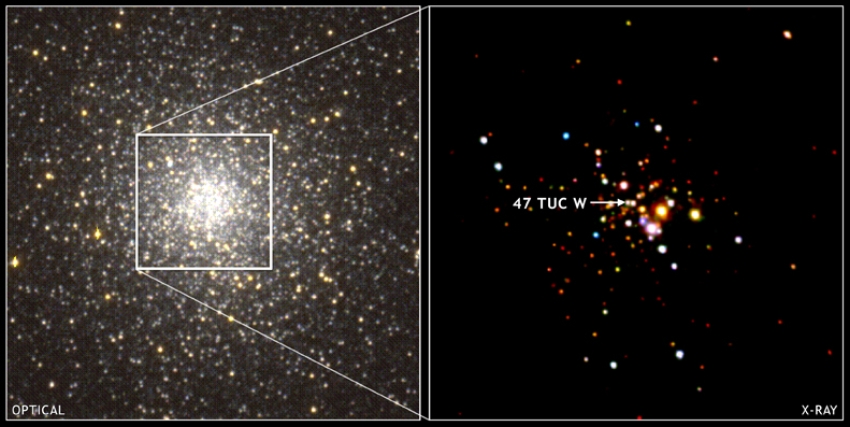 Chandra imaging of 47 Tuc W