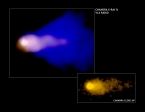 X-ray and VLA image of the Mouse