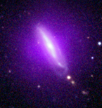 New Black Holes seen by NuSTAR