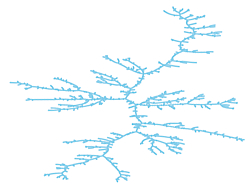 A visualization of the connections between branches in the pulsar tree