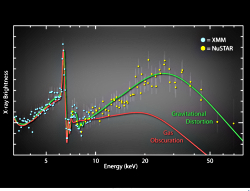 XMM Newton and NuSTAR spectrum of rotating black hole