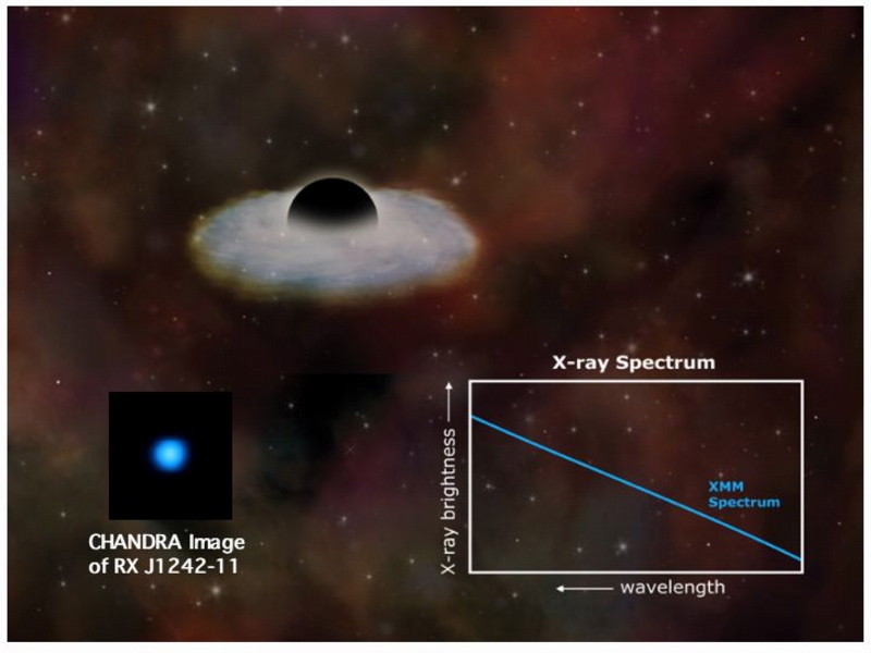 Stellar disruption by a black hole