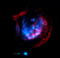 XMM Newton discovery of transient magnetar