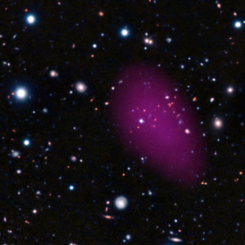 Composite XMM + optical observation of a high-Z cluster