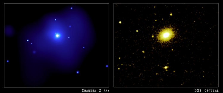 Chandra Image of NGC 4555