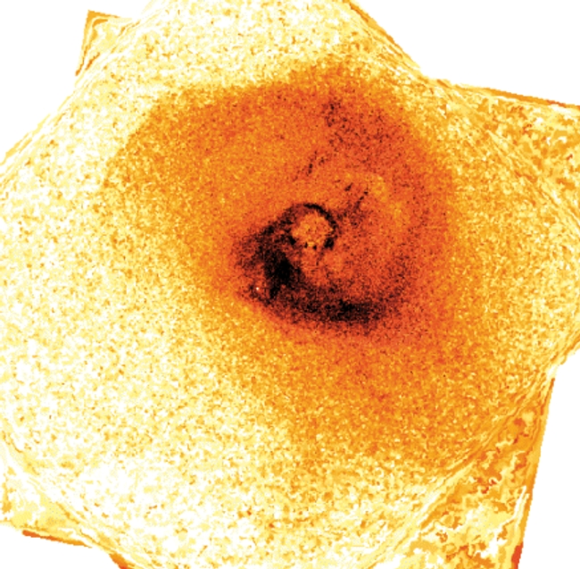 Temperature map of the Perseus Cluster