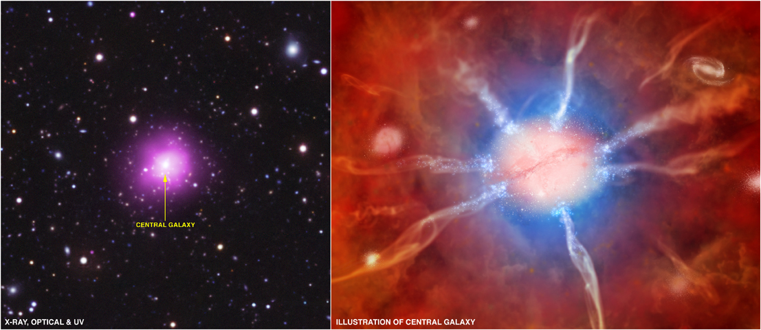 Left: composite optical/UV/X-ray image of Phoenix Cluster; Right: Artist conception of the center of the cluster