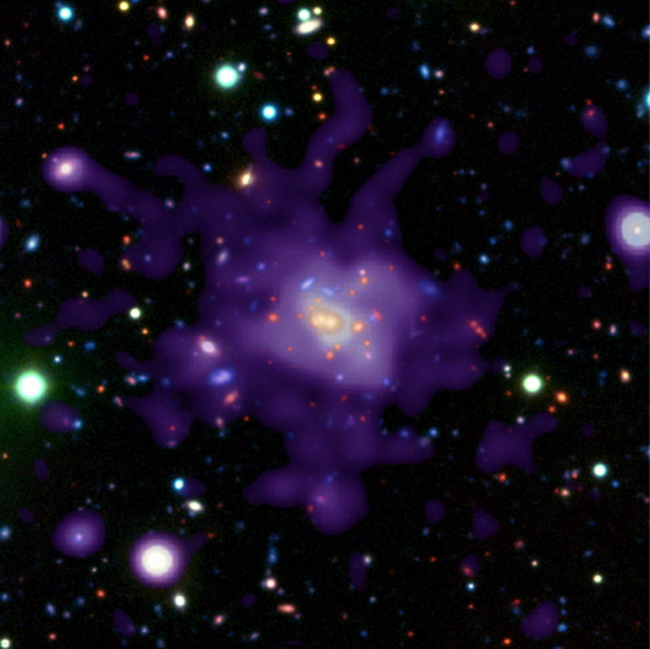 Chandra and VLT images of a massive, distant galaxy cluster