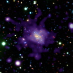 CHANDRA and VLT observations of an old, massive cluster