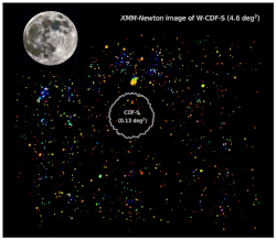 The Wide Chandra Deep Field South, one of the XMM-SERVS fields