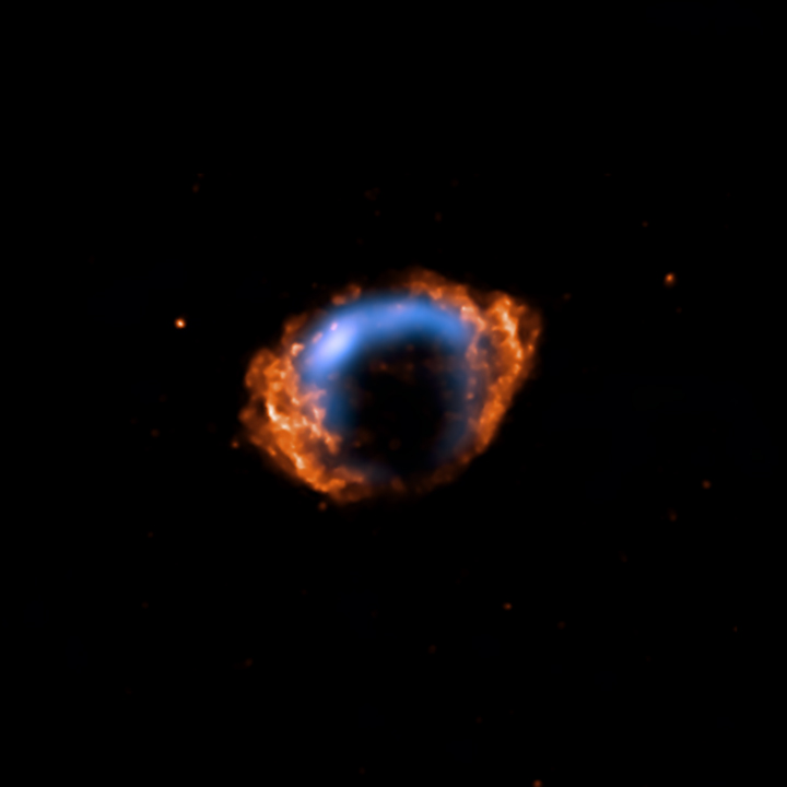 VLA and Chandra composite of G1.9+0.3.