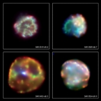 Chandra montage of LMC supernova remnants