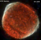 XMM-Newton and VLA view of SN 1006