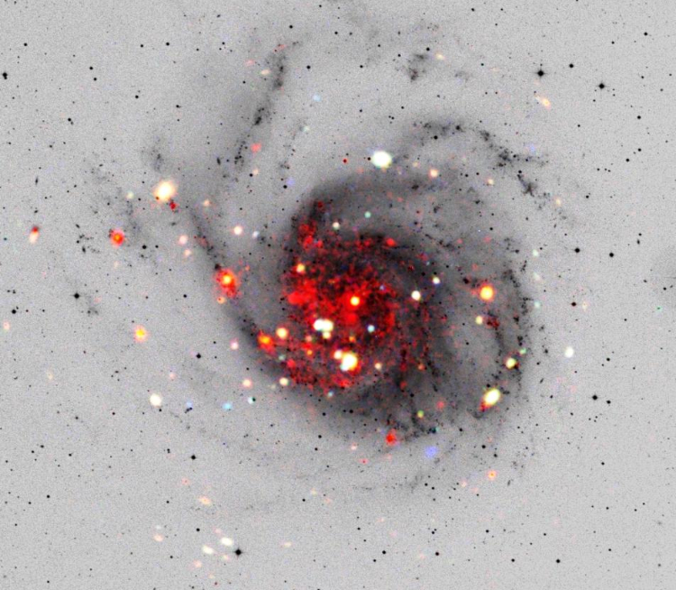 M101: optical and X-ray