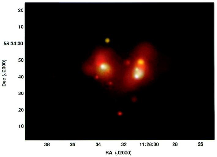 Chandra X-ray Image of Arp 299