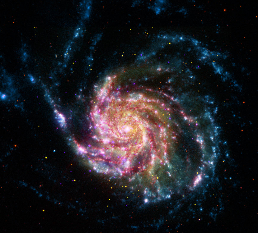 Spitzer (red), Hubble (yellow), Galex (blue) and Chandra (purple) composite of M101