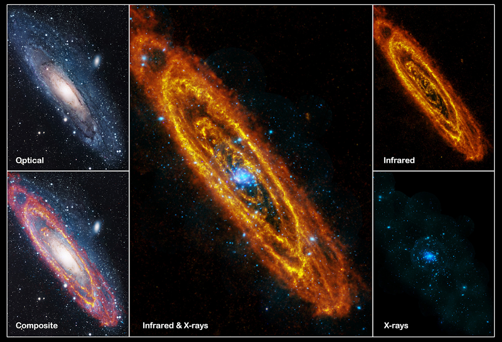 Optical, IR and X-ray views of the Andromeda Galaxy