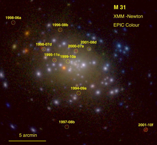 XMM Newton Observations of Novae in M31