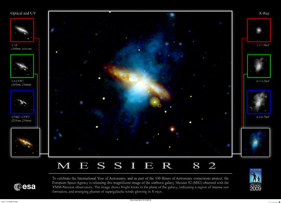 Multiwavelength view of M82 