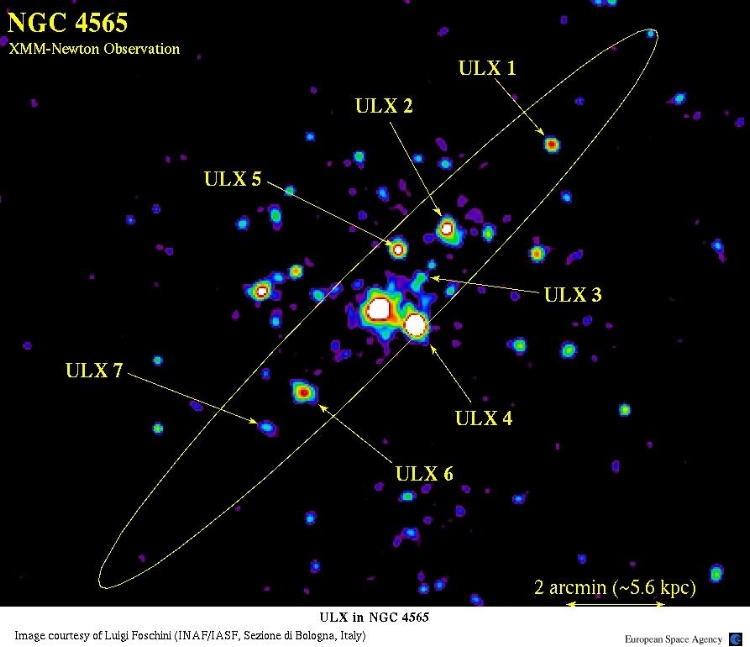 XMM-Newton identification of ULXs in NGC 4565