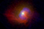 Chandra images of elliptical galaxies