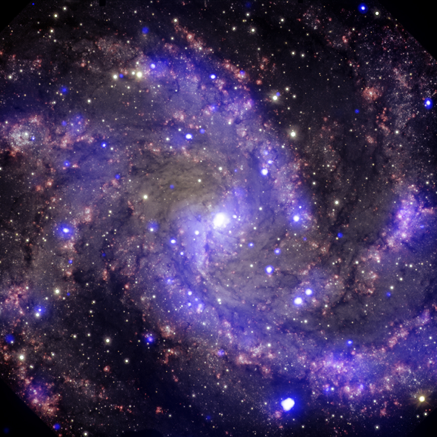Composite X-ray/optical image of NGC 6946