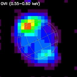 XMM-Newton X-ray line emission from Jupiter