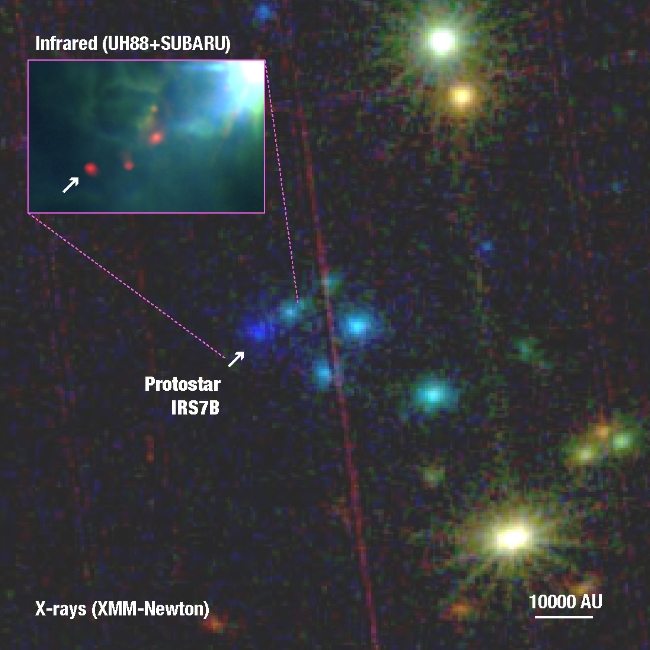XMM Newton detection of a class0 protostar