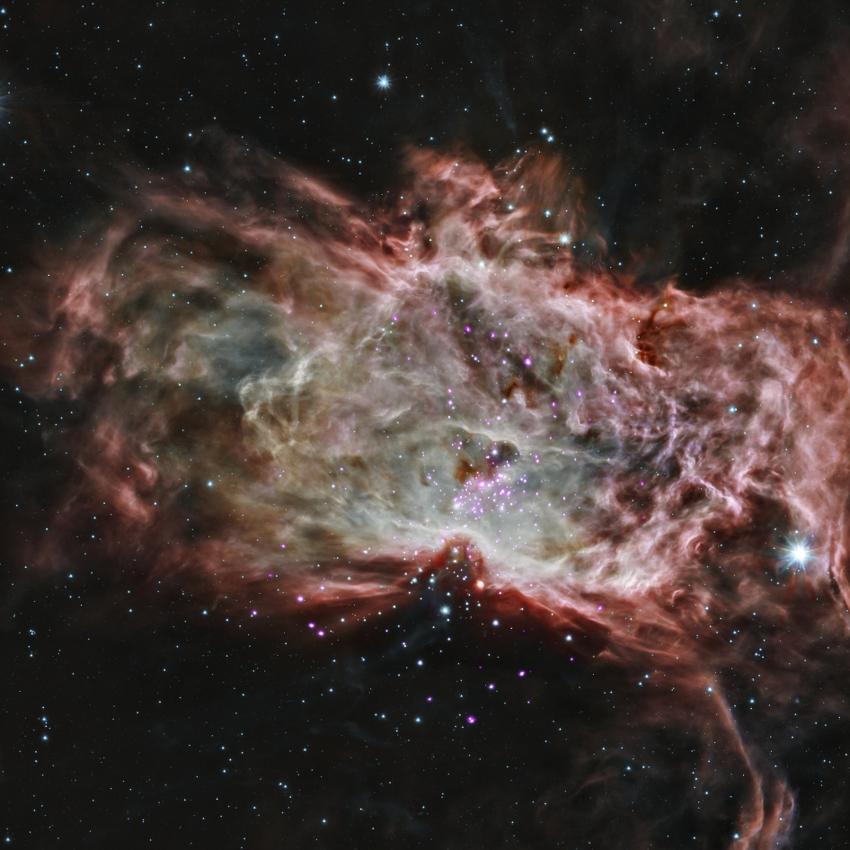 Chandra X-ray and Sptizer IR image of NGC 2024