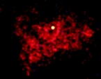 Chandra Image of HD5980