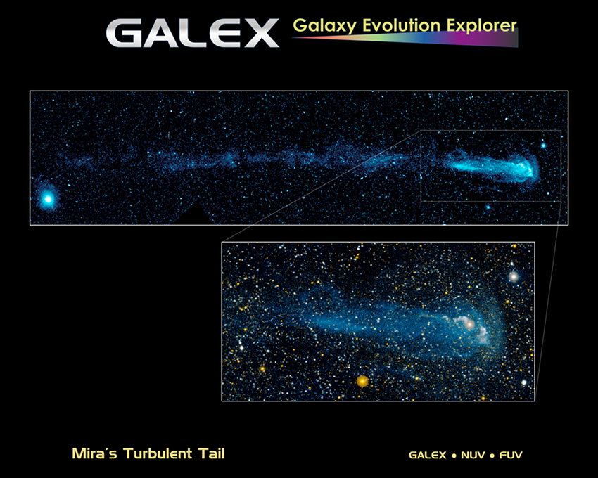 Mira tail by Galex