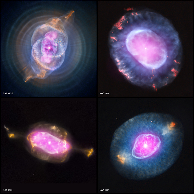 Sample from the Chandra Planetary Nebula Survey