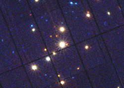 XMM observes a flare from Rho Oph