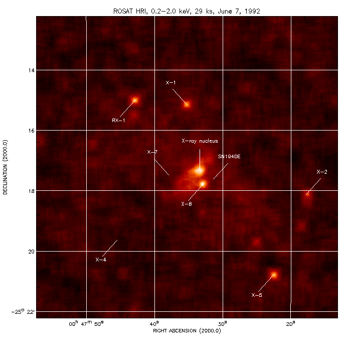 ROSAT Image of NGC 253