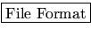 \fbox{File Format}