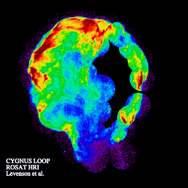 ROSAT image of the Cygnus Loop SNR