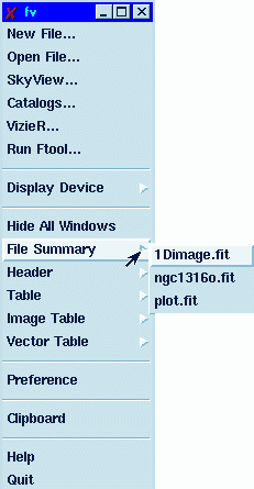screen capture of fv window manager
