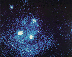 X-ray image of the Eta Carinae Nebula