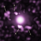 Chandra Image of 4C37.43