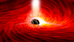 Illustration of X-ray echoes from behing a black hole