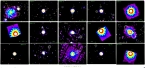 XMM Montage of Gamma-ray loud active galaxies