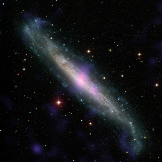 NuSTAR detection of supermassie black hole in NGC 1448