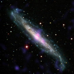 NuSTAR detection of supermassie black hole in NGC 1448