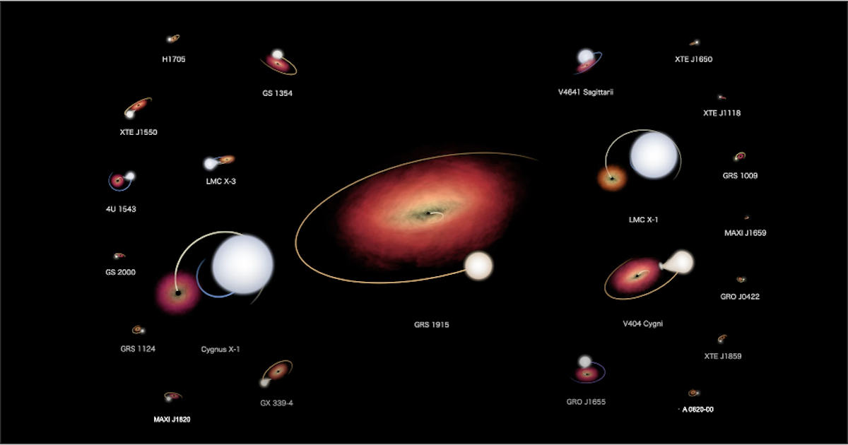 Orrery of confirmed black hole systems in the Milky Way and Large Magellanic Cloud
