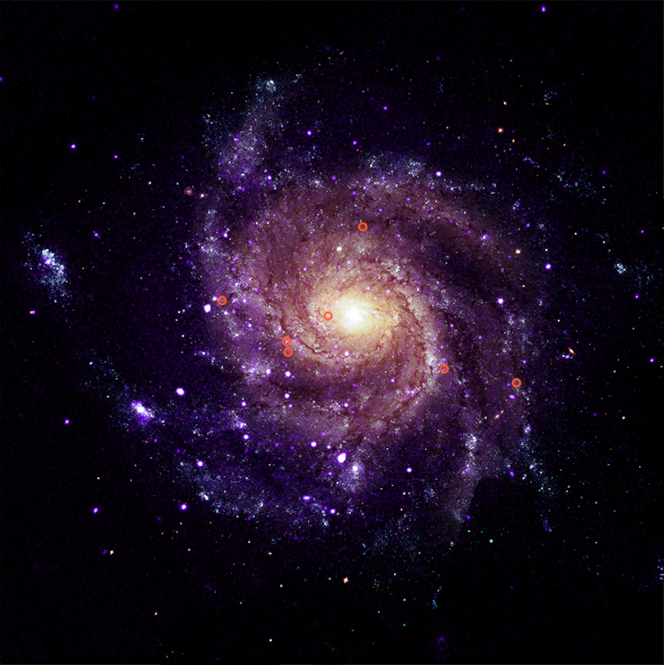Composite of a Chandra X-ray image and an optical image of the face-on galaxy M101; the hypersoft sources are shown by orange circles