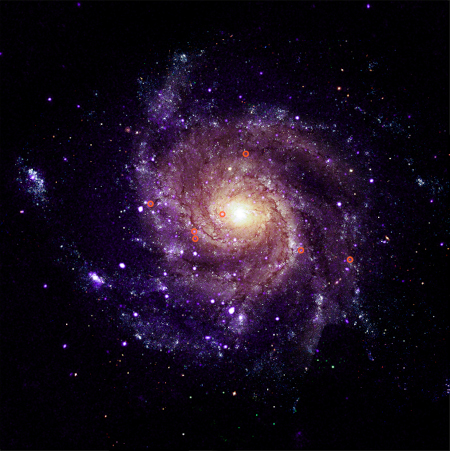 Composite of a Chandra X-ray image and an optical image of the face-on galaxy M101; the hypersoft sources are shown by orange circles